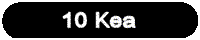 Back to Kea