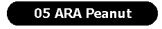 Back to ARA Peanuts
