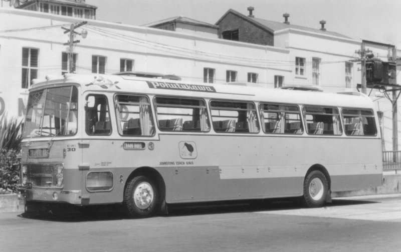 Johstons Kiwi 30