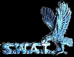 Huntington Beach Official SWAT Pin