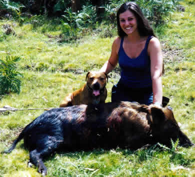 Australian Pig and Hog Hunting Rave Photo Page 36