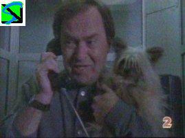"Help!&nbsp; I'm about to be eaten alive to death by dogs!"