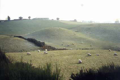 Landscape of Fife County.