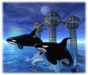 orca.jpg (9758 bytes)