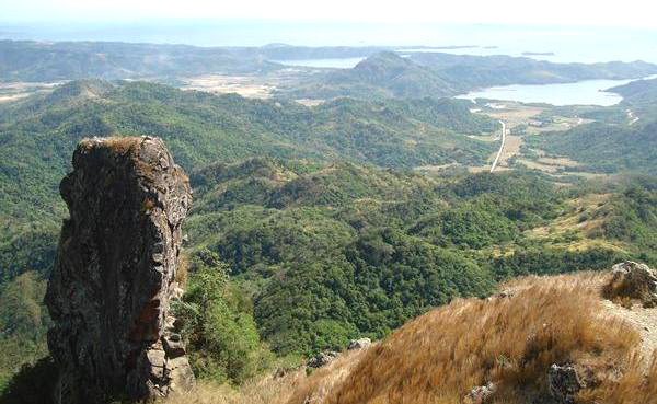 Pico de loro