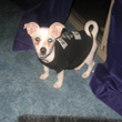 Peanut