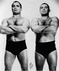Tolos Brothers