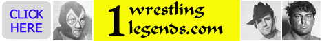 Visit the 1wrestlinglegends website!