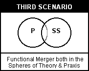 Functional Mereger both in the Spheres of Theory and Praxis