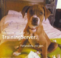 Training Server