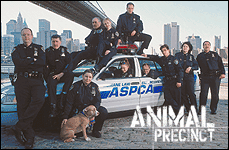 Animal Precinct