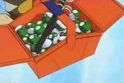 The Fuschia City in Kanto Safari Zone's Safari Ball Case