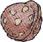 Some of the Johto berries were called "nuts" in Japanese