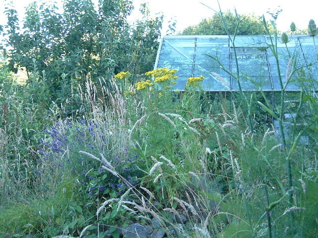 View of the site July 2005