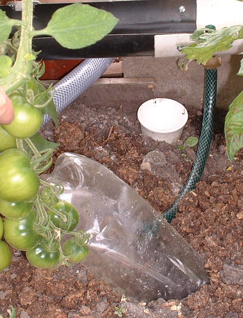 irrigation system, flushed by urinal