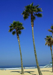 List of my Seminars for Managers