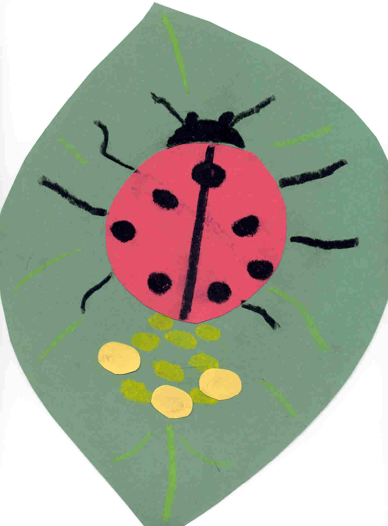 La coccinelle