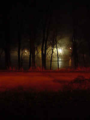 00508.jpg (13217 bytes)