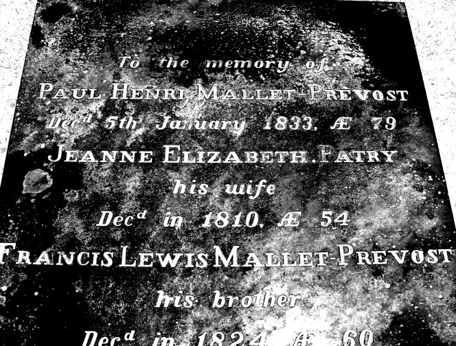 0467.jpg (155261 bytes)