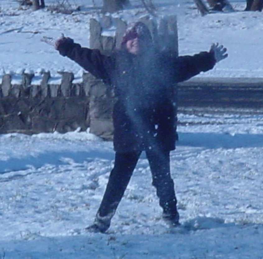 258.jpg (52880 bytes)