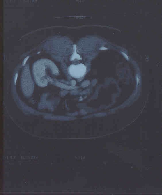 3 scan 15 december 2001.jpg (20415 bytes)