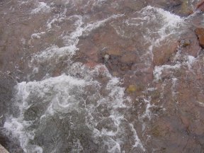 460.jpg (18756 bytes)