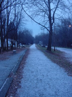 Dsc00219.jpg (35331 bytes)