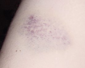 Dsc00238.jpg (5887 bytes)