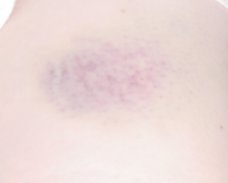 Dsc00239.jpg (2764 bytes)