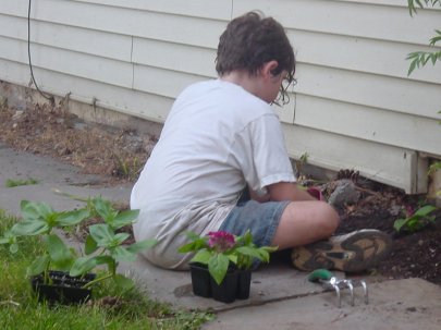 Dsc00535.jpg (26741 bytes)