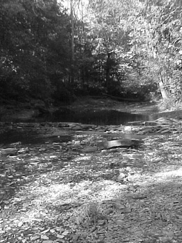 Mvc-007f.jpg (60768 bytes)