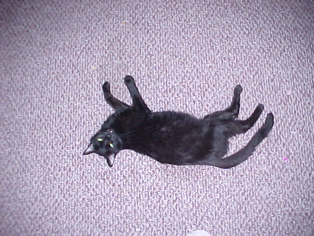 cypher.jpg (99569 bytes)