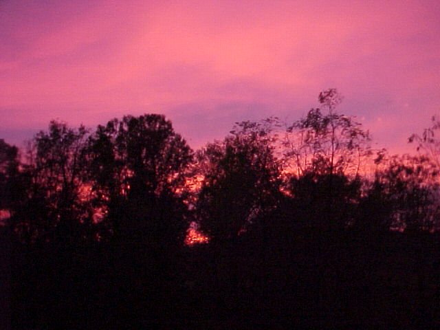 land1.jpg (42808 bytes)