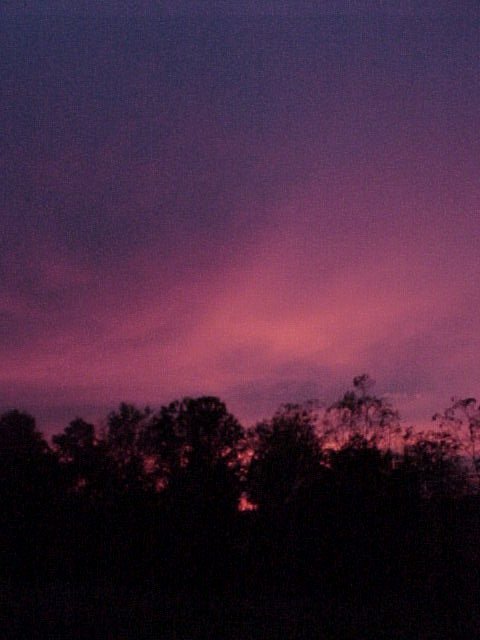 land2.jpg (38241 bytes)