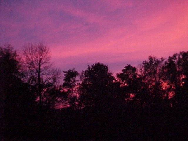 land3.jpg (40904 bytes)