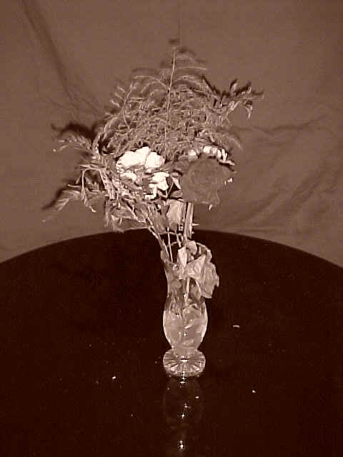 rose1.jpg (44526 bytes)