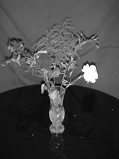 rose2.jpg (46450 bytes)