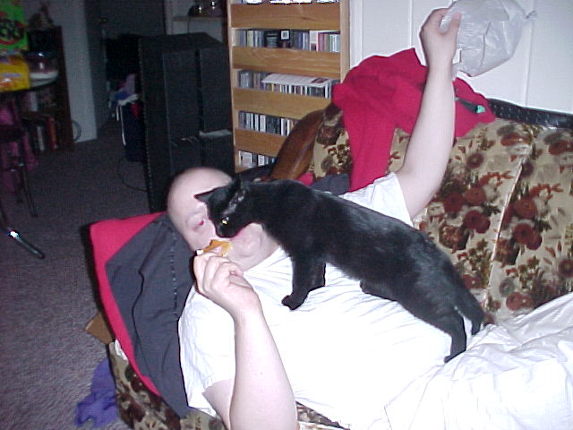 the newcomer.jpg (58935 bytes)