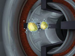 Fission Decay
