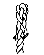 Backsplice