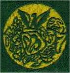 St. Patrick's Pajigwad Scout Troop