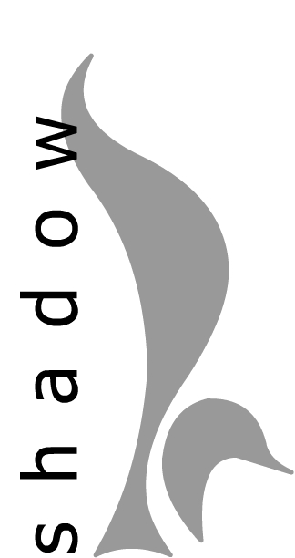 Shadow (Open) Scout Group