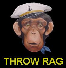 Punk n Roll Pictures live band pictures by Jessica Goldfinch