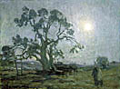 oak
