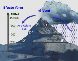 Vent f&ouml;hn