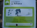 �LAMO BLANCO