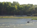 AVES EN EL RIO