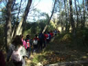 BOSQUE SOTO CANTALOBOS