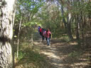 BOSQUE DE RIVERA