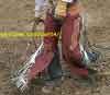 Bat wing chaps at rodeo